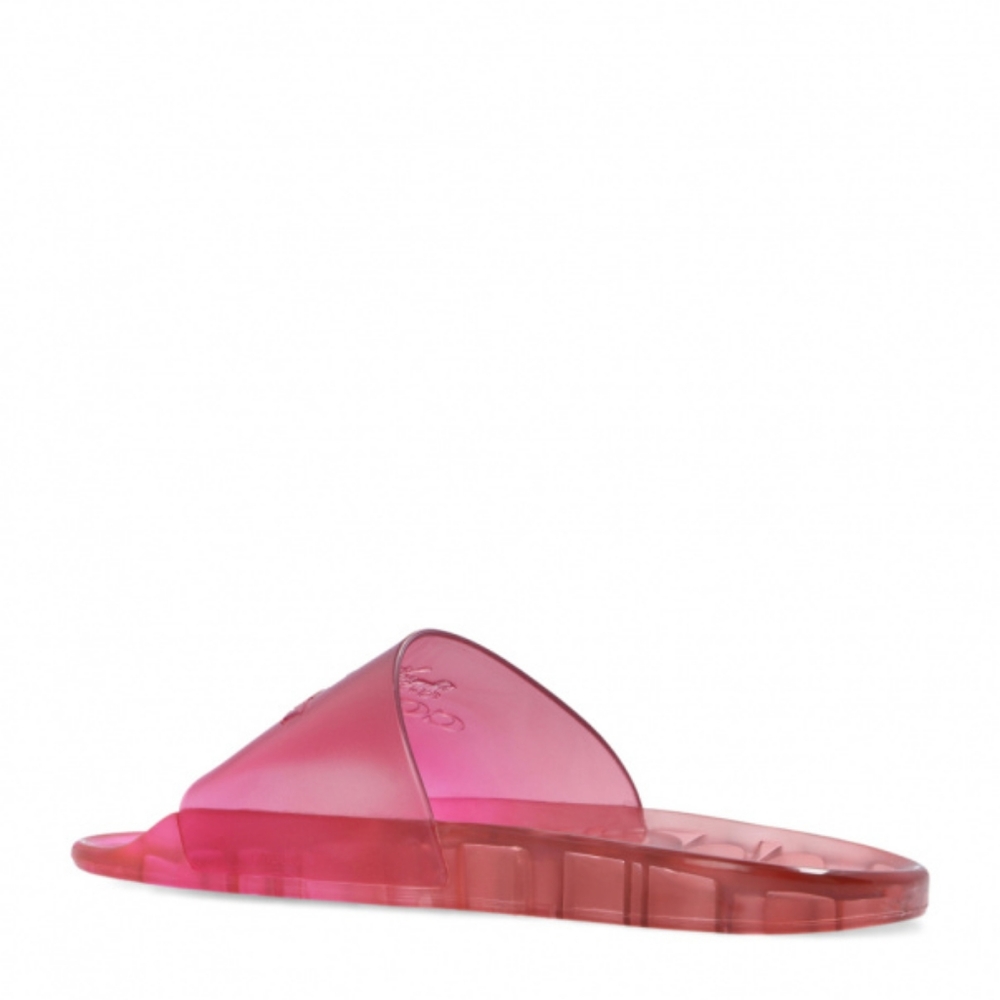 Coach transparent slides - Picture 2 of 7